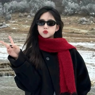 圣诞狗狗救援