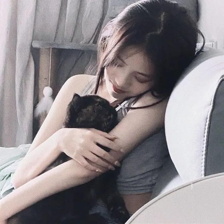 坏蛋狐狸的故事